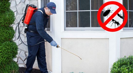 Bingöl Pire İlaçlama böcek ilaçlama ve haşere kontrolü — ilaclama-tr.com
